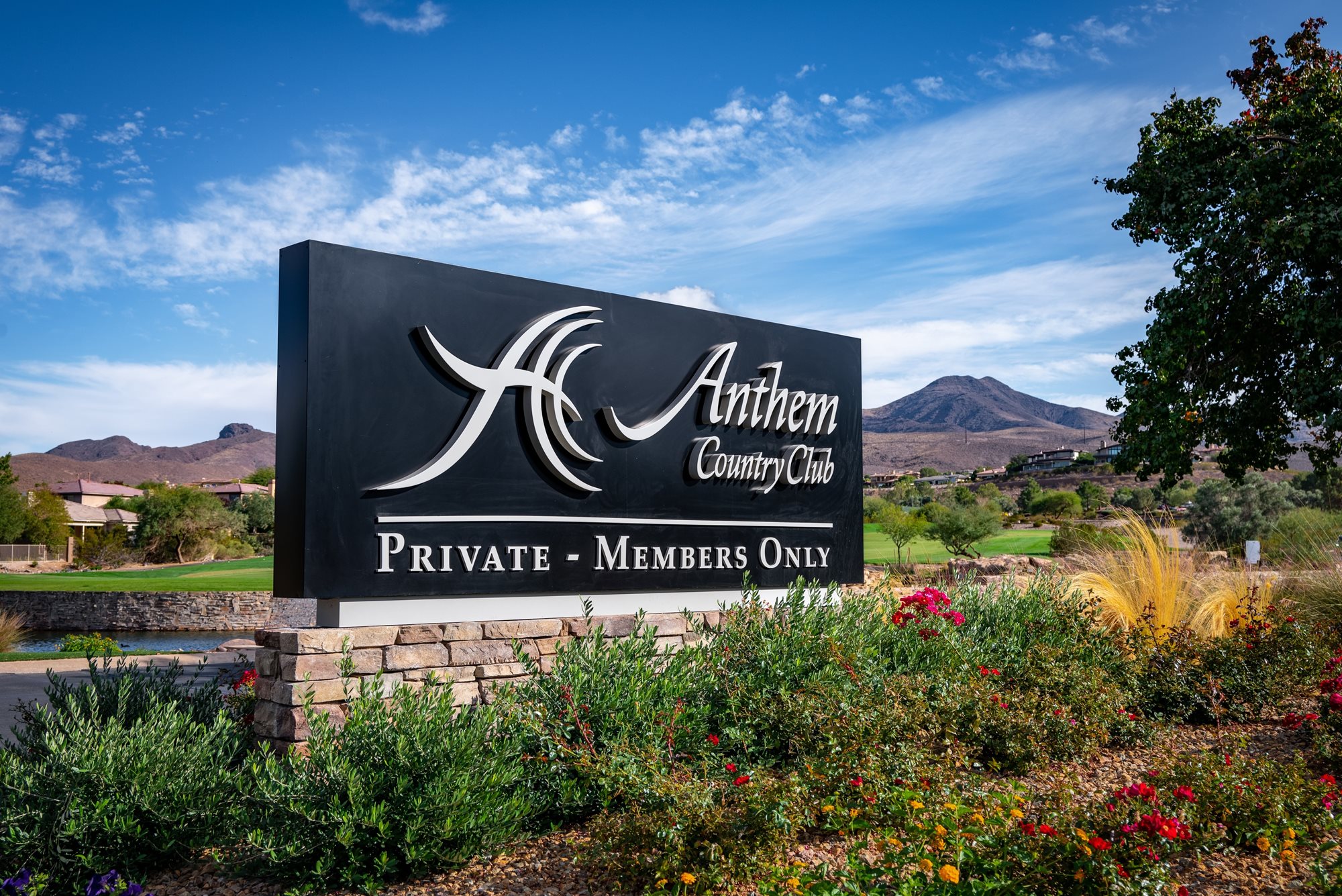 Anthem-Country-Club-Las-Vegas-Wedding-Photographer-50